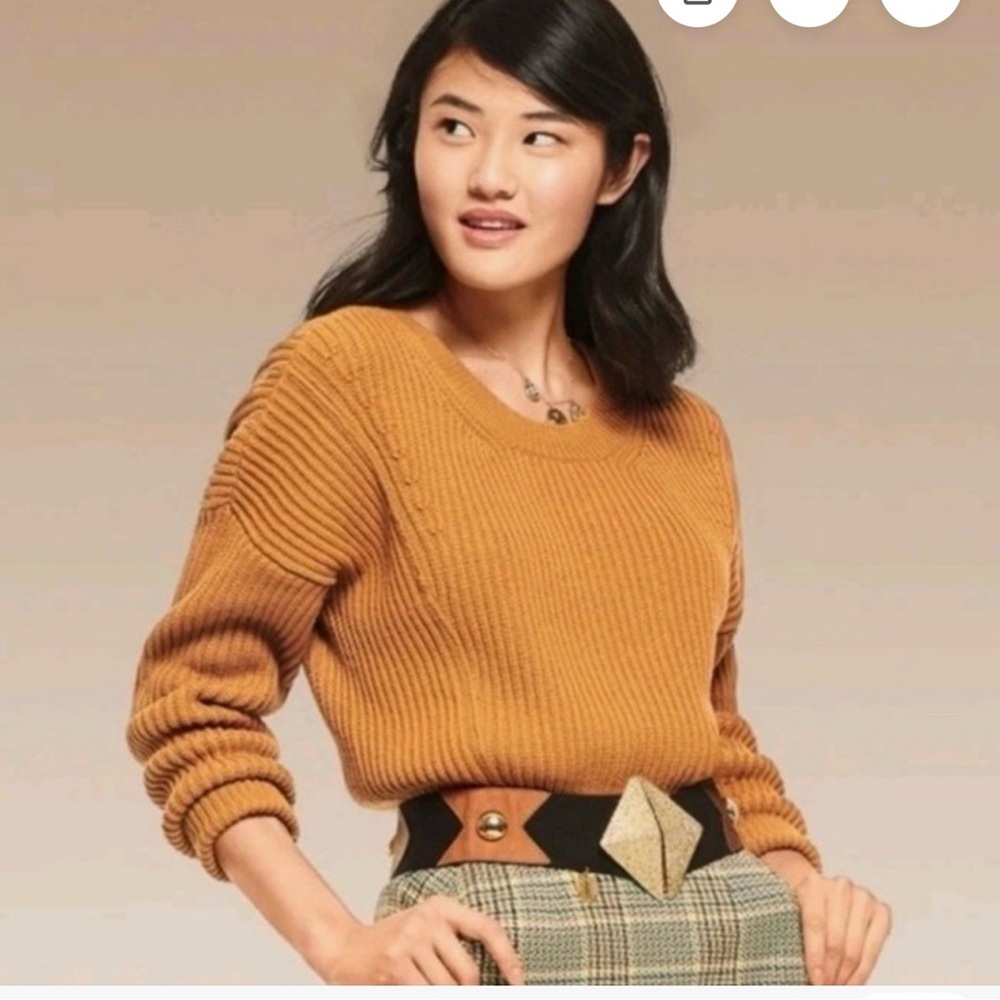 CAbi #3537 Stepup Pullover Crew Neck Sweater